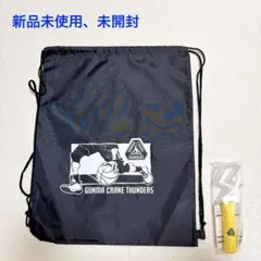 【新品未使用】群馬クレインサンダーズ ジムサック＆ペンライト