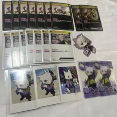 CR crazy raccoon RAS カード
