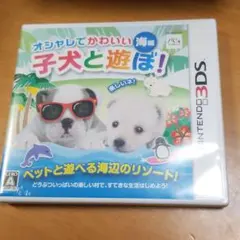 オシャレでかわいい 子犬と遊ぼ! -海編-