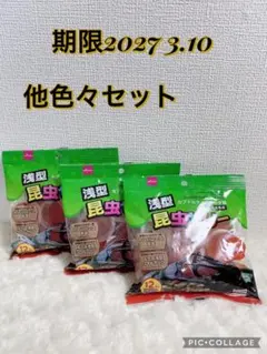 Item thumbnail for item 50048c04-e816-4f3b-b5a0-2a262ff63807