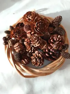 Item thumbnail for item 5a62eaab-af97-4942-926c-21e407a1904b