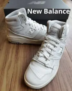 Item thumbnail for item 4afc4595-0b09-4d91-b596-90ed1156c156