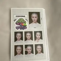 XG ココナ COCONA 証明写真 IDフォト 1枚のみ THE CORE - メルカリ