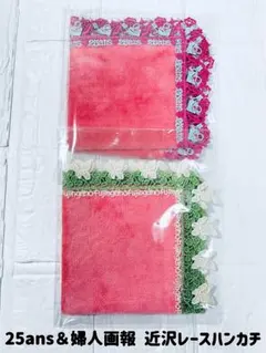 新品未使用　近沢レース　婦人画報別注　コーラルピンク ＆ グレー　2枚セット 近沢レース 新品レア6枚set 春の訪れ 婦人画報別注蝶々 Perfume