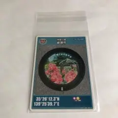 マンホールカード神奈川県綾瀬市　市の花ばら(002 )