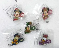 新品未使用 ミッキー&フレンズ ディズニー 30周年 ピンバッジ ピンバッチ