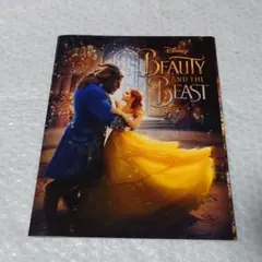 Item thumbnail for item b54115d6-77d5-4161-a6e0-b638022648e9