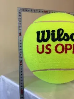 2026年最新】us open テニスの人気アイテム - メルカリ