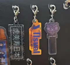 Travis Japan VIIsual 完全生産限定盤 キーホルダー