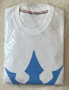 PRODUCE 101 JAPAN 日プ JO1 ロゴトレーナー L