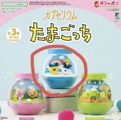 カプセリウム たまごっち まめっち