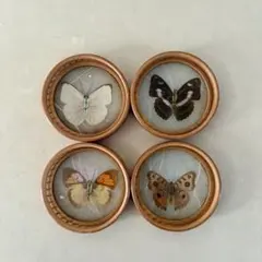 Item thumbnail for item 4eedb09e-0851-48d8-a245-d02c799f4da2