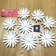 Item thumbnail for item d0a461ba-6a7e-4bab-8162-7679822415ff