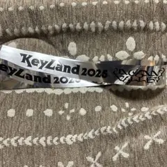 Keyland Uncanny Valley 銀テープ 1本 キーランド