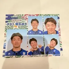 横浜DeNAベイスターズ 春季キャンプ 証明写真風ブロマイド 61蝦名達夫