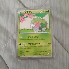 シェイミ XY BREAK コンセプトパック 幻・伝説ドリームキラ