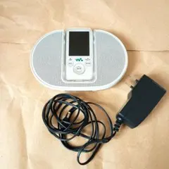 Sony SRS-NWGT10 ポータブルオーディオプレーヤー ウォークマン