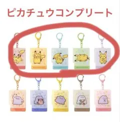 ポケモン 十ポケ十色 アクリルキーホルダー ピカチュウ コンプリートセット
