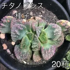 じゃくそん様 リクエスト 4点 まとめ商品