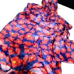 Item thumbnail for item 43c2d2ca-21f2-4637-94be-ada9dbc21c0b