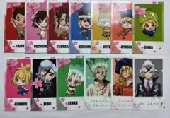 Dr.STONE ドクターストーン カード 桜 まとめ売り