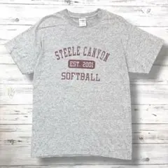 GILDAN Tシャツ デカロゴ グレー M 1021