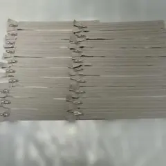 Item thumbnail for item b7e91bfb-6525-4829-8c74-190755303a8e