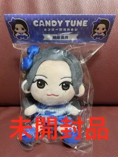 CANDY TUNE きゃんちゅー ちびぬい ぬいぐるみ 新品未開封 桐原美月