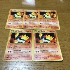 旧裏面、ヒノアラシ3枚・マグマラシ2枚！マーク無し！限定！絶版！希少！大特価！