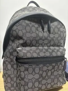 【大人気✨️】COACH シグネチャー バックパック C8183 B4/DE 大人気◇新品】COACH シグネチャー バックパック C8183 B4/DE - メルカリ