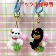 ピックル様専用