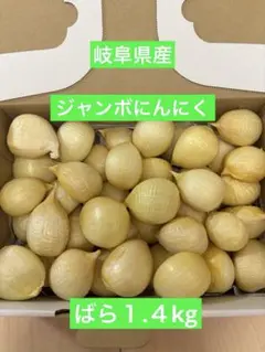 岐阜県産ジャンボにんにく　ばら１.４kgのサムネイル
