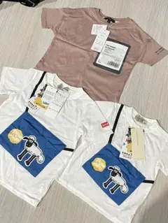 Item thumbnail for item 8f1caf4c-336e-49a1-97e2-28ce54565c21