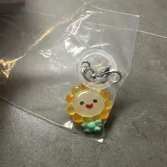 JOCHUM めじるしアクセサリー Bira