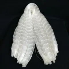 Item thumbnail for item fdf641dd-5acd-46b6-b70e-dd18eacc8e6a