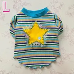 Item thumbnail for item 5b6568ce-c6b4-4ca4-8a17-9c9e0c3b99ae