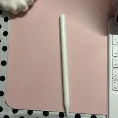 ホワイト タッチペン USB-C充電