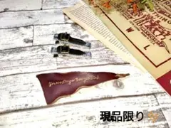 Item thumbnail for item b816dd86-bb6f-408c-b6e0-980eca0dc95d