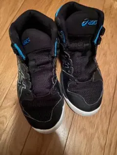 Item thumbnail for item 376dde70-f688-43c0-b3d3-0e06095e9f3d