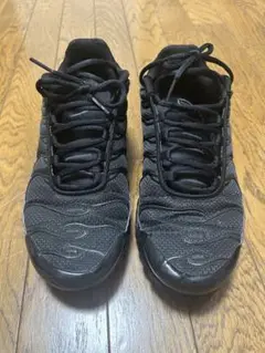 NIKE Air Max Plus マップラ
