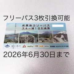富士急ハイランド フリーパス 3枚引換可能のサムネイル