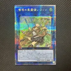 遊戯王 蒼翠の風霊使いウィン 25th シークレット - メルカリ
