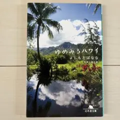 Item thumbnail for item 53d90dea-f06a-463a-88d2-53eb9e120185