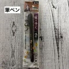 未開封　武田双雲プロデュース　筆ペン