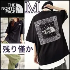 【日本未発売】THE NORTH FACEペイズリーＴシャツ ブラック★Mサイズ