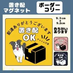 【ボーダーコリー】屋外用マグネット　置き配　宅配ボックス　玄関　防水