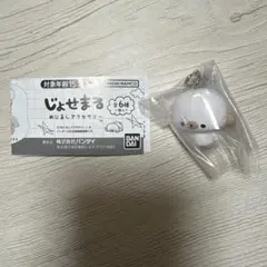 じょせまる めじるしアクセサリー らて
