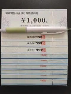 ビッグカメラ　コジマ　お買物優待券　株主優待券　合計9000円分