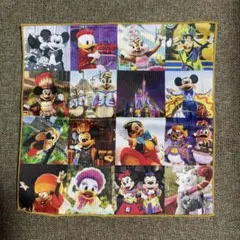 【ディズニー】 アンコールザモーメンツ 実写 ミニタオル