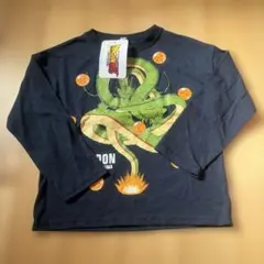 Item thumbnail for item 9df71b20-01e8-4a35-bd04-676244281a07